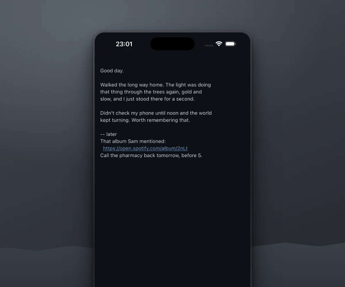 noglow on iPhone — a slot holding a few sentences about the day, in the dark Slate theme